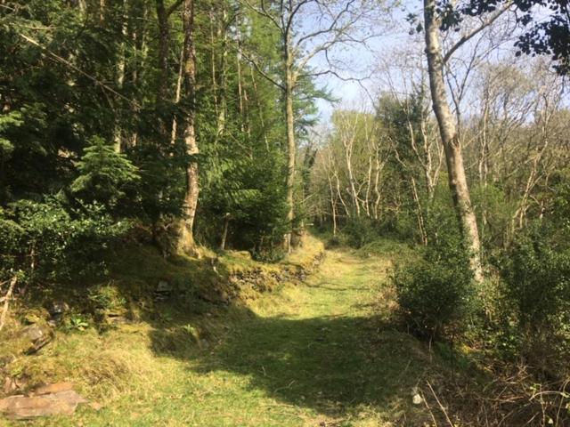 Self Catering Cottage Talsarnau Esterno foto